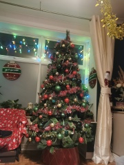 Can I see your Christmas tree?