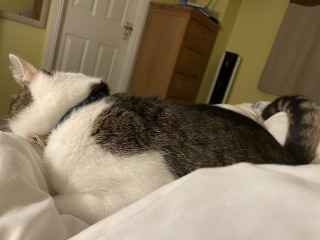 Cancer Support Thread 92 - Christmas Happy Hour at the Patience Inn 7pm tonight 🎄