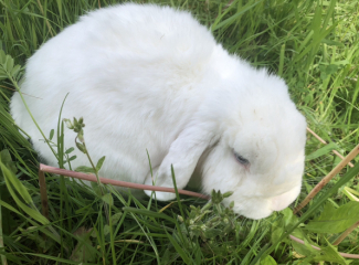 Frugal Friends Facing Forward with Fortitude