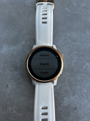 What Garmin?