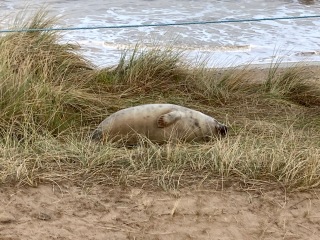 Come and tell me your dull and unexciting news 28: Calmly through the day