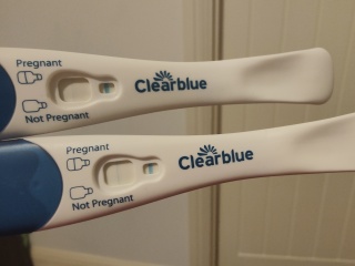 Could I still be pregnant? Negative tests 2 weeks late