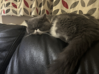 Potential new inmate at Toddler Towers.