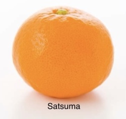 I have solved the small orange problem
