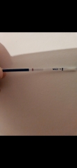 Early pregnancy test