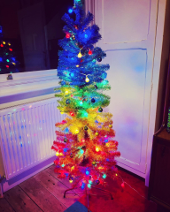 Can I see your Christmas tree?