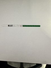 Faint positive or Evaporation Line