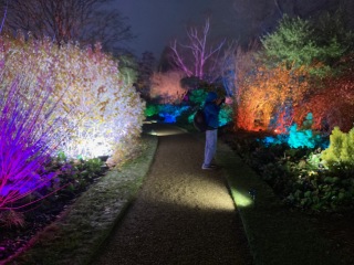 The Great Recovery! After cancer what next?