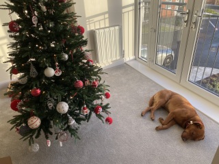 Countdown to Christmas 2023: It's the final countdown (thread 3)