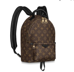Which backpack Gucci or LV