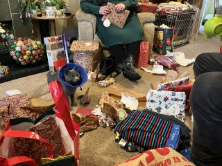 Christmas with the Excellent Cats