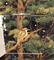 Picture advent calendars that add to the scene rather than have random pictures behind the doors