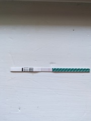 TTC no 2