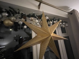 Can I see your Christmas tree?