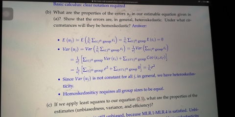 Can anyone help with an Econometrics Question?