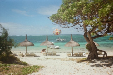 Come and tell me your dull and unexciting news 27: Calmly through the day