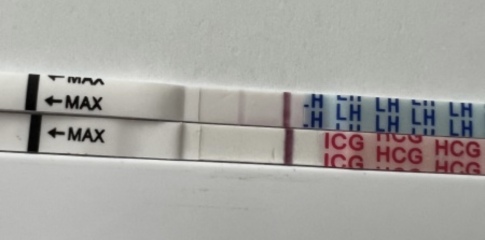 🌲🌲 XMAS BFPs 🎁🎁 Christmas testing thread
