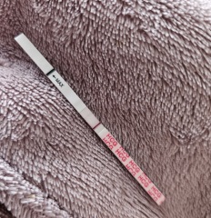 Pregnancy test