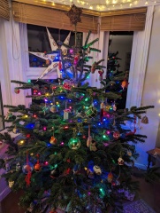 The ultimate SHOW US YOUR TREE megathread!