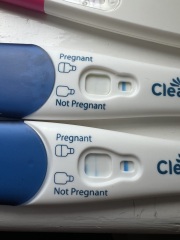 Clear blue test. Evap line or positive