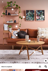 Pinky brown walls, tan sofas?