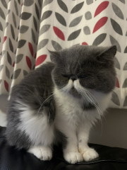 Potential new inmate at Toddler Towers.