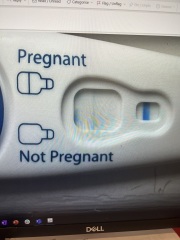 Clear blue test. Evap line or positive