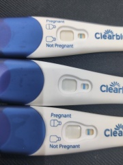 Clear blue test. Evap line or positive