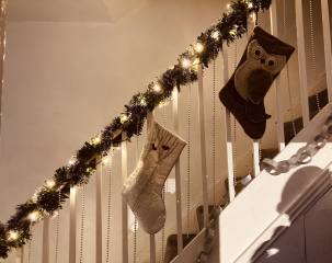 Can I see your Christmas tree?
