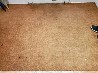 Inspiration for entrance matting and stairs (pictures attached)