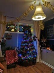 Can I see your Christmas tree?