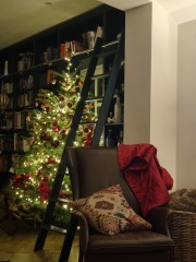 Can I see your Christmas tree?