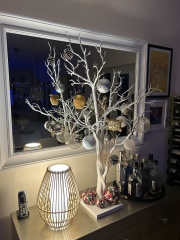 Can I see your Christmas tree?