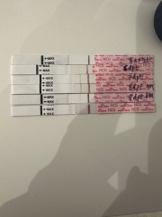 Tww 8dp5dt