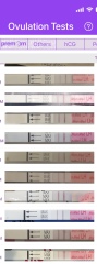 Help: from these LH tests would you say I am ovulating?