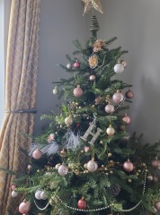 Can I see your Christmas tree?