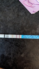Positive ovulation test??? Late period