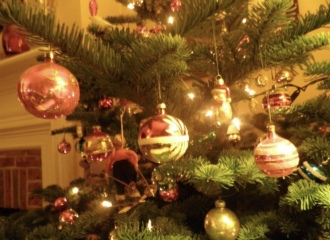 The ultimate SHOW US YOUR TREE megathread!