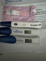 BBTing our way to a BFP in September 🎉 cont.