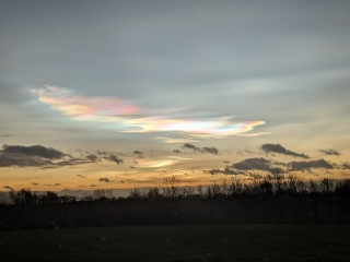 Did you see the pearl clouds today?