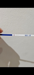 Early pregnancy test