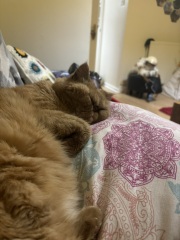 Worn out!