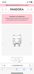 Fake Pandora - can anyone tell?