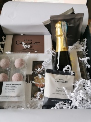 Thread 14 - the one where we track our Fahlo turtles while snuggling under our heated blankets