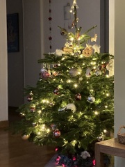 Nigel Slater Christmas Chronicles Read Along 2023 - Part Two