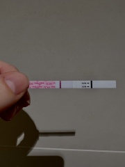 AM I GOING CRAZY…. vvfl 11/12dpo? Line eyes!!