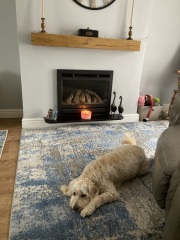 Inset gas fire with a mantelpiece?