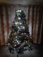 Can I see your Christmas tree?