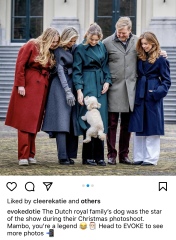 Royal Style: silk, stomachers, sapphires and plenty of sass