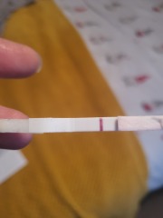 11 dpo vvfl line help